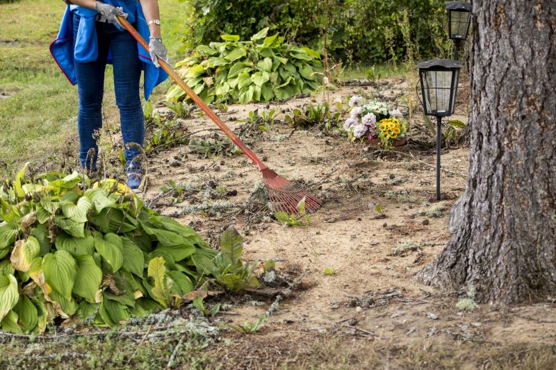 Brush Clearing Service in Atlanta, GA