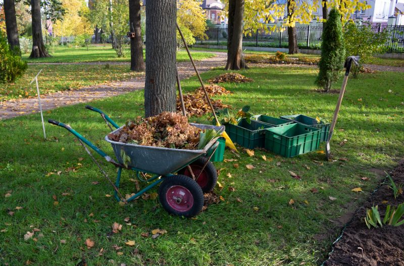 Pool Land Clearing in Katy, TX